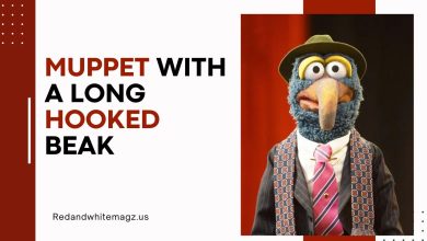 Image of Muppet with a Long Hooked Beak
