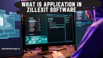 Image of What Is Application In Zillexit Software
