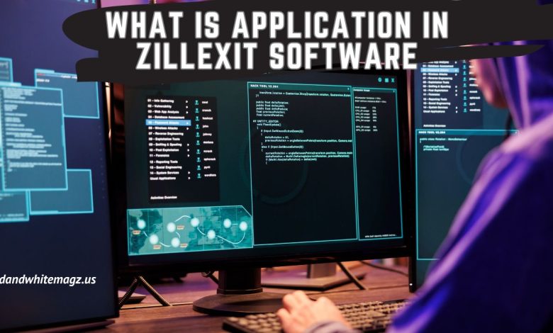 Image of What Is Application In Zillexit Software