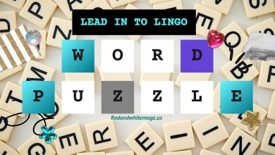 Image of lead in to lingo