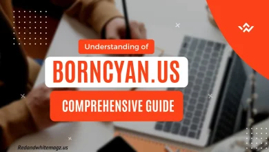 Understanding Borncyan.us
