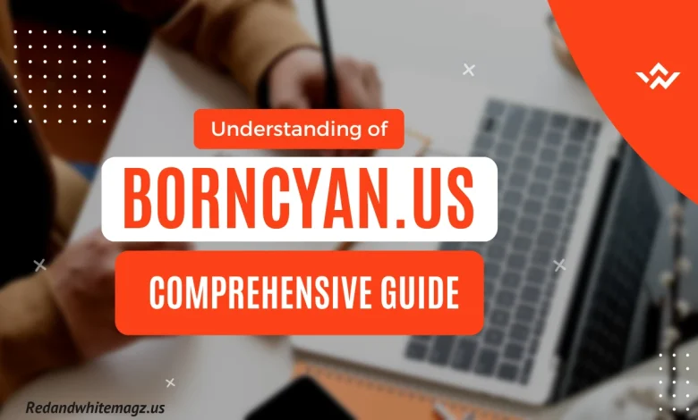 Understanding Borncyan.us