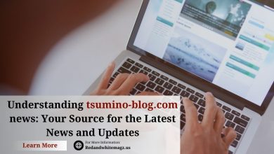 Image of tsumino-blog.com news