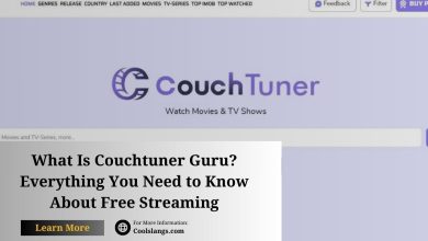 Image of couchtuner guru