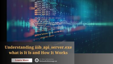 Image of iib_api_server.exe what is
