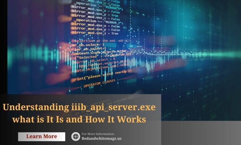 Image of iib_api_server.exe what is