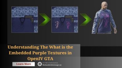 Image of What is the Embedded Purple Textures in OpenIV GTA