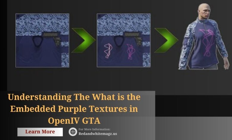 Image of What is the Embedded Purple Textures in OpenIV GTA